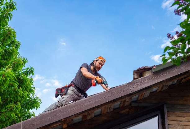 Best Gutter Installation and Repair  in Ste Genevieve, MO