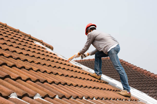 Best Flat Roofing  in Ste Genevieve, MO