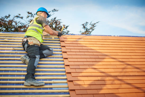Best Roof Moss and Algae Removal  in Ste Genevieve, MO